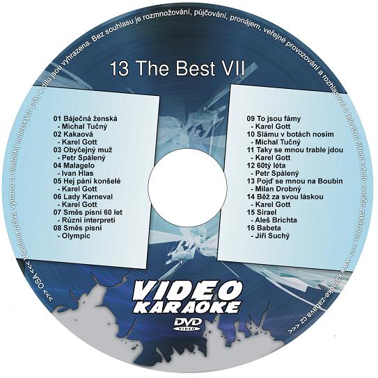 KARAOKE ZÁBAVA: Karaoke DVD 13 The Best VII