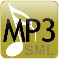 MP3 with back vocals with lead melody